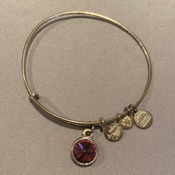 Alex and Ani February Birthstone Charm Bangle, Amethyst - Picture 1 of 3
